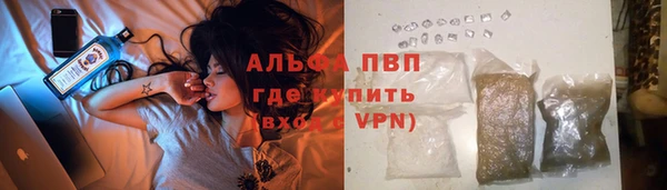 спайс Бородино