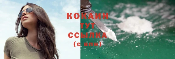 спайс Бородино