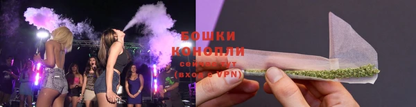 спайс Бородино
