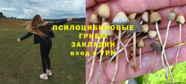 бошки Бронницы
