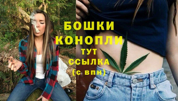 бошки Бронницы