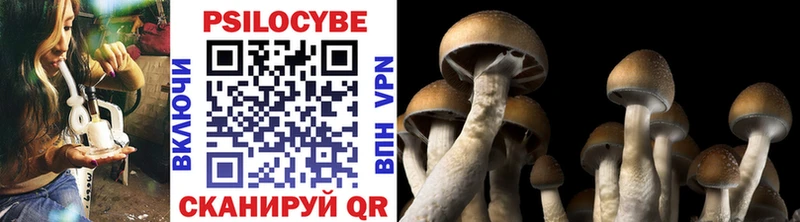 Галлюциногенные грибы MAGIC MUSHROOMS  Венёв 